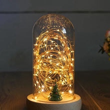 Load image into Gallery viewer, Glass Display Cloche Domes LED Lights for Christmas Wedding Decoration USB Fairy Lights Copper Wire LED String Lights luminaire