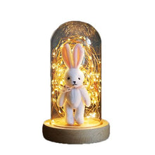 Load image into Gallery viewer, Glass Display Cloche Domes LED Lights for Christmas Wedding Decoration USB Fairy Lights Copper Wire LED String Lights luminaire